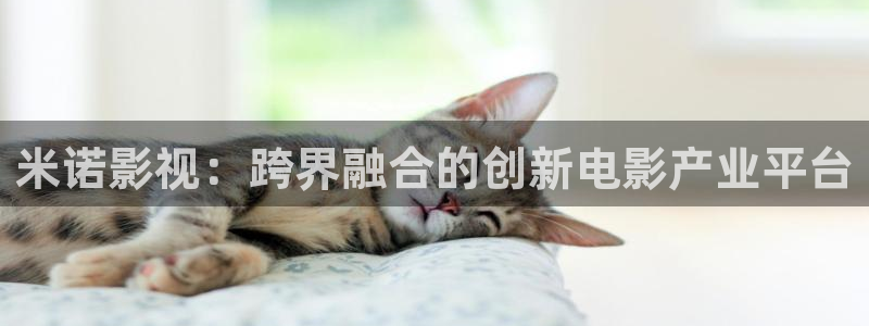 奇米在线播放