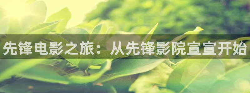 777米奇奇米在线影院：先锋电影之旅：从先锋影院宣宣开始